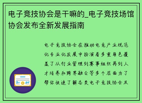 电子竞技协会是干嘛的_电子竞技场馆协会发布全新发展指南